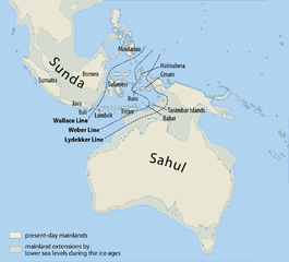 265px-Map_of_Sunda_and_Sahul